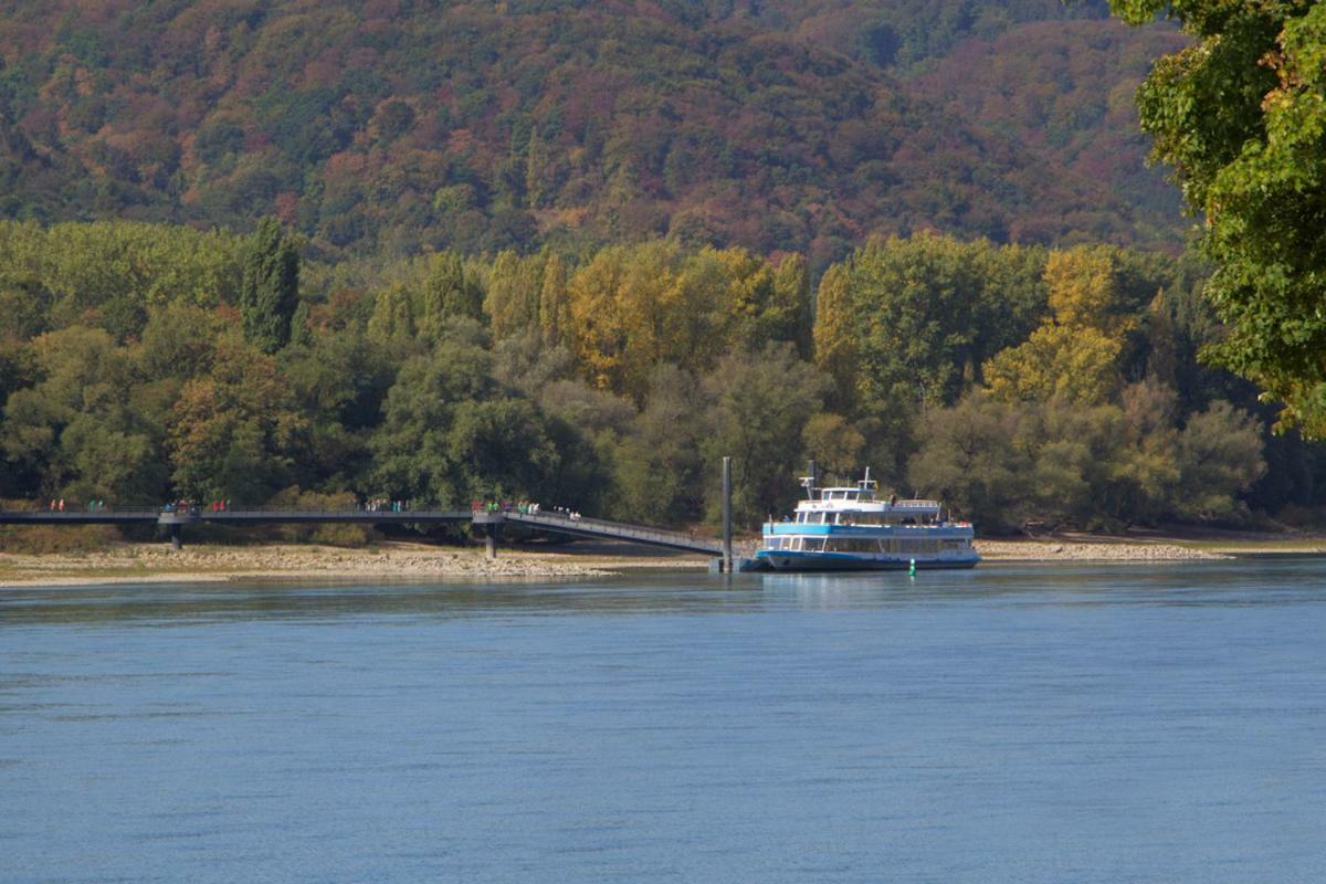 Ferienhaus An Der Burg Namedy Andernach Luaran gambar